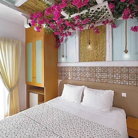 Hotel Segas 2*